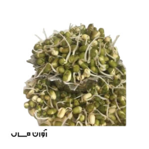 جوانه ماش در بسته 250 گرمی