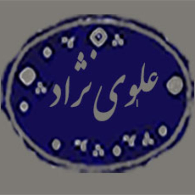 بنکداری علوی نژاد